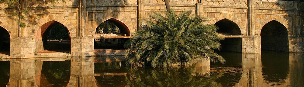 Meredith W. Watts Yogablog