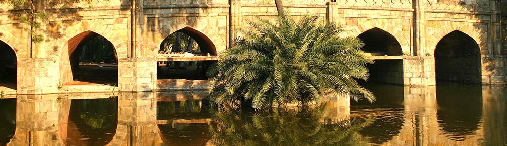 Meredith W. Watts Yogablog